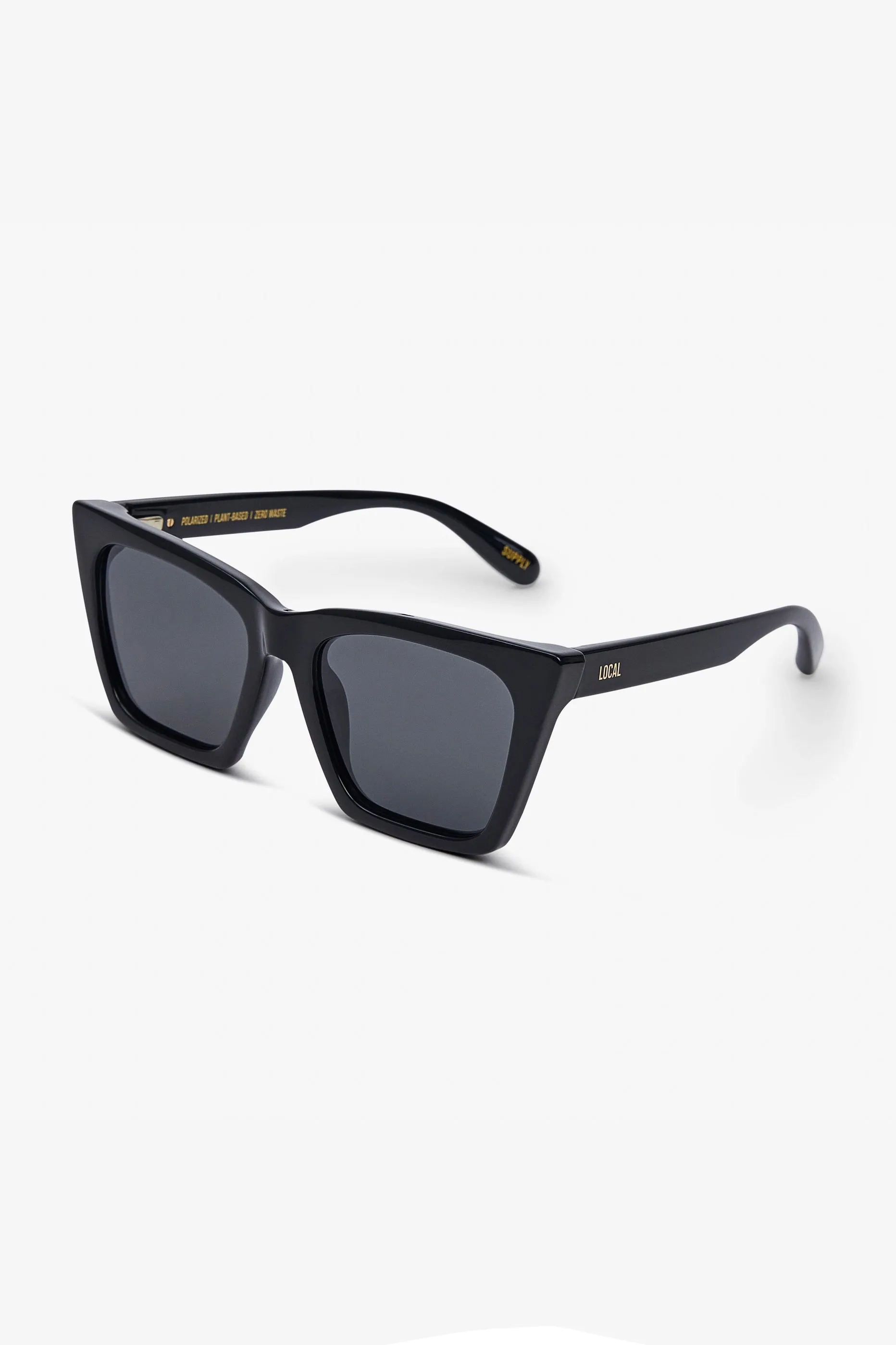 Ibz Polarized Sunglasses in Black