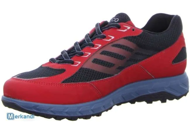 Lote de 44 pares de Zapatos ECCO