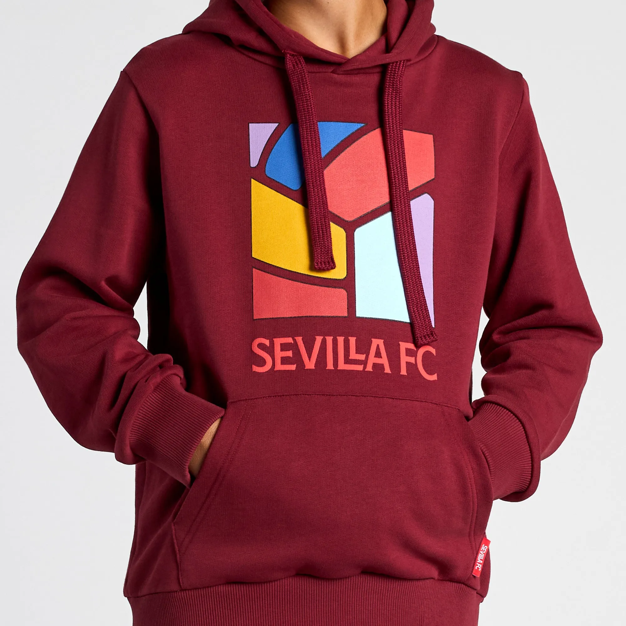 Sudadera capucha nio burdeos
